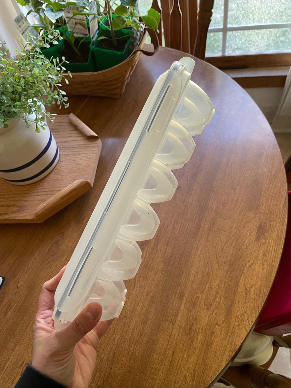 Lock and Lock Egg Container